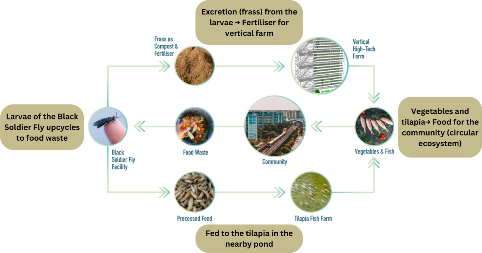 Successful Environmental Initiatives (Sustainability @ Tampines Park ...