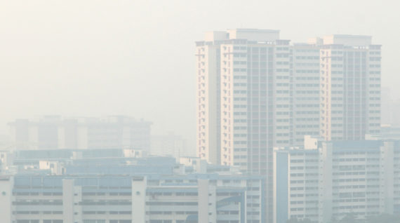 HAZE, WHO IS TO BLAME?