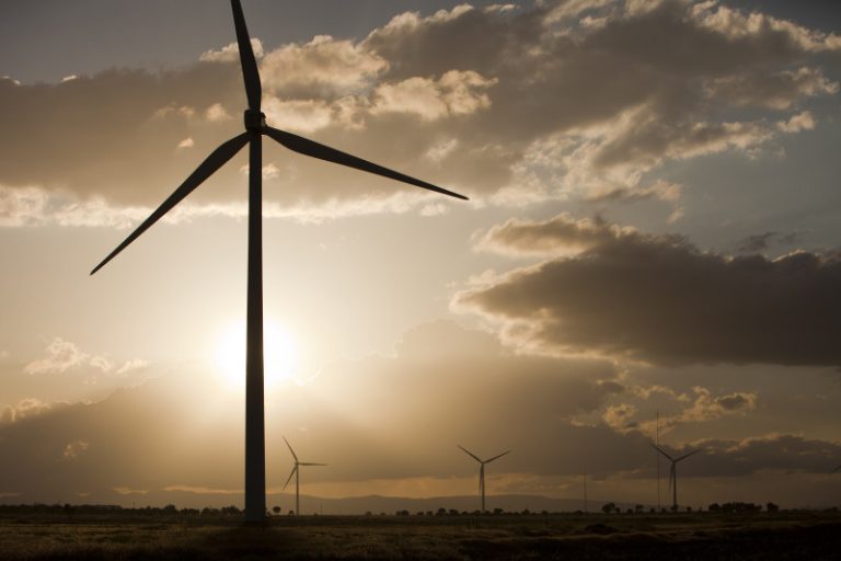 WWF calls for major investment in clean and renewable energy with ...