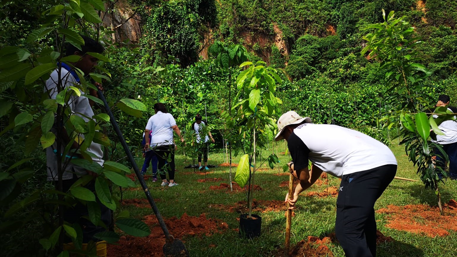 Tree planting with NParks